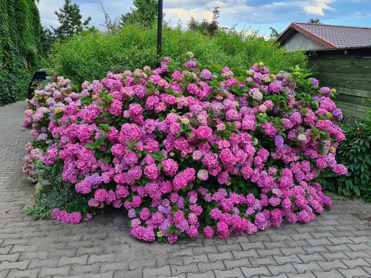 Dworek Sw.Antoniego Slawutowo Esterno foto